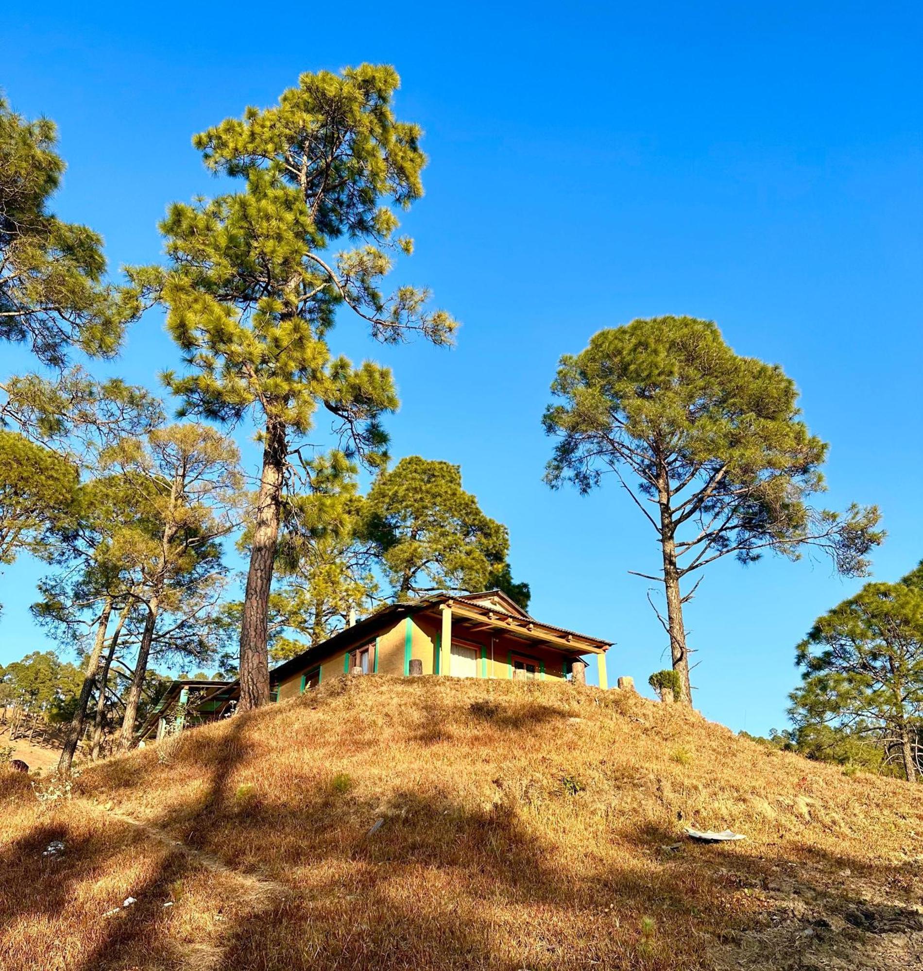 Joshi Cottage Binsar Ngoại thất bức ảnh