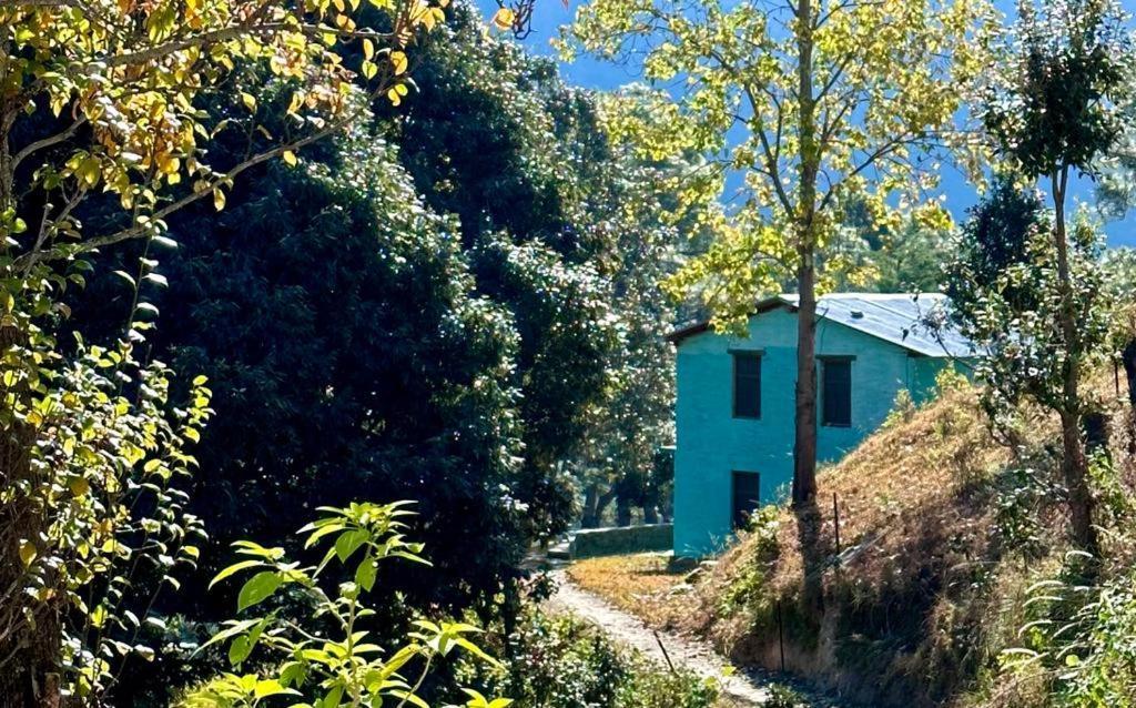 Joshi Cottage Binsar Ngoại thất bức ảnh