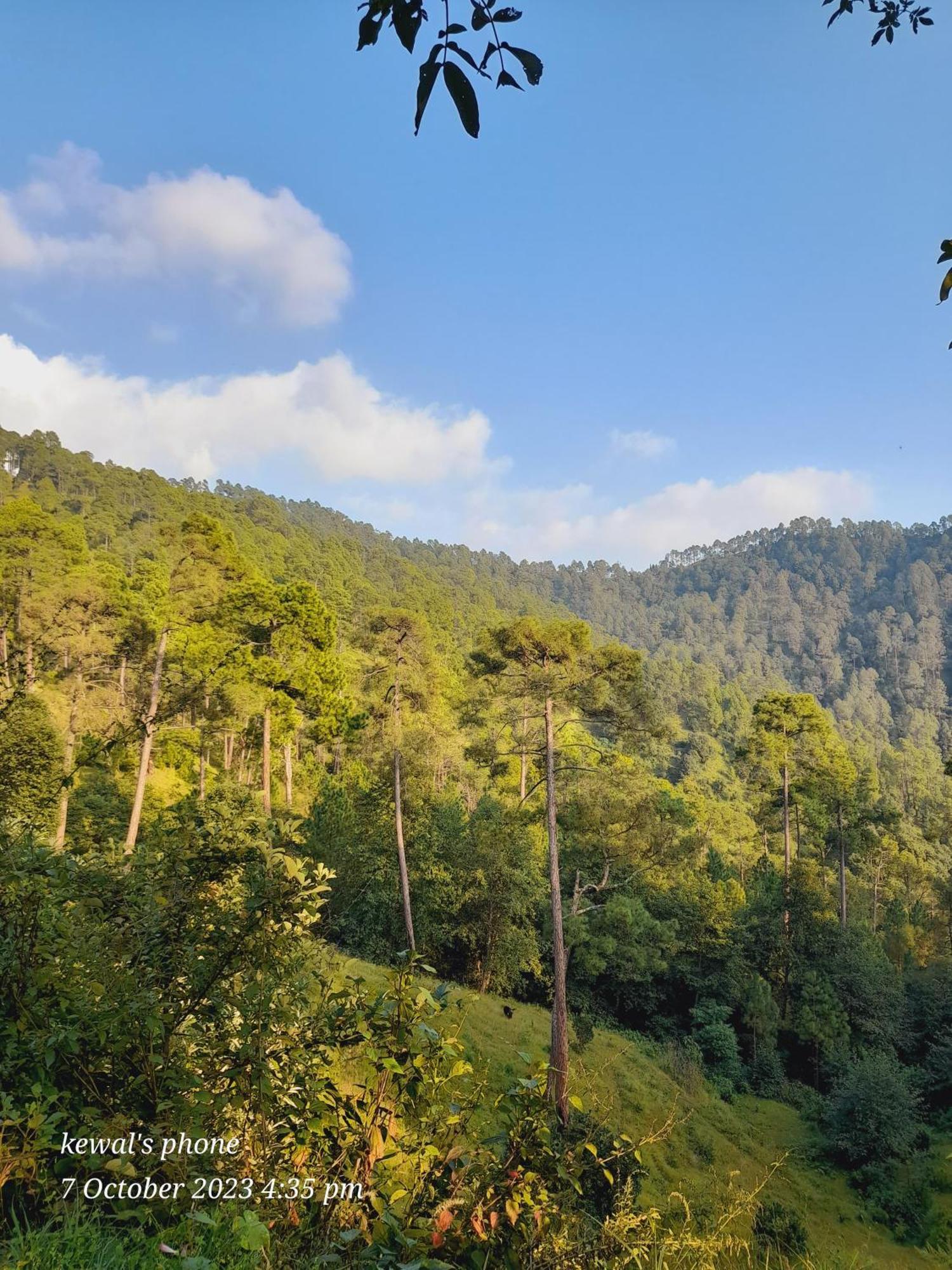 Joshi Cottage Binsar Ngoại thất bức ảnh